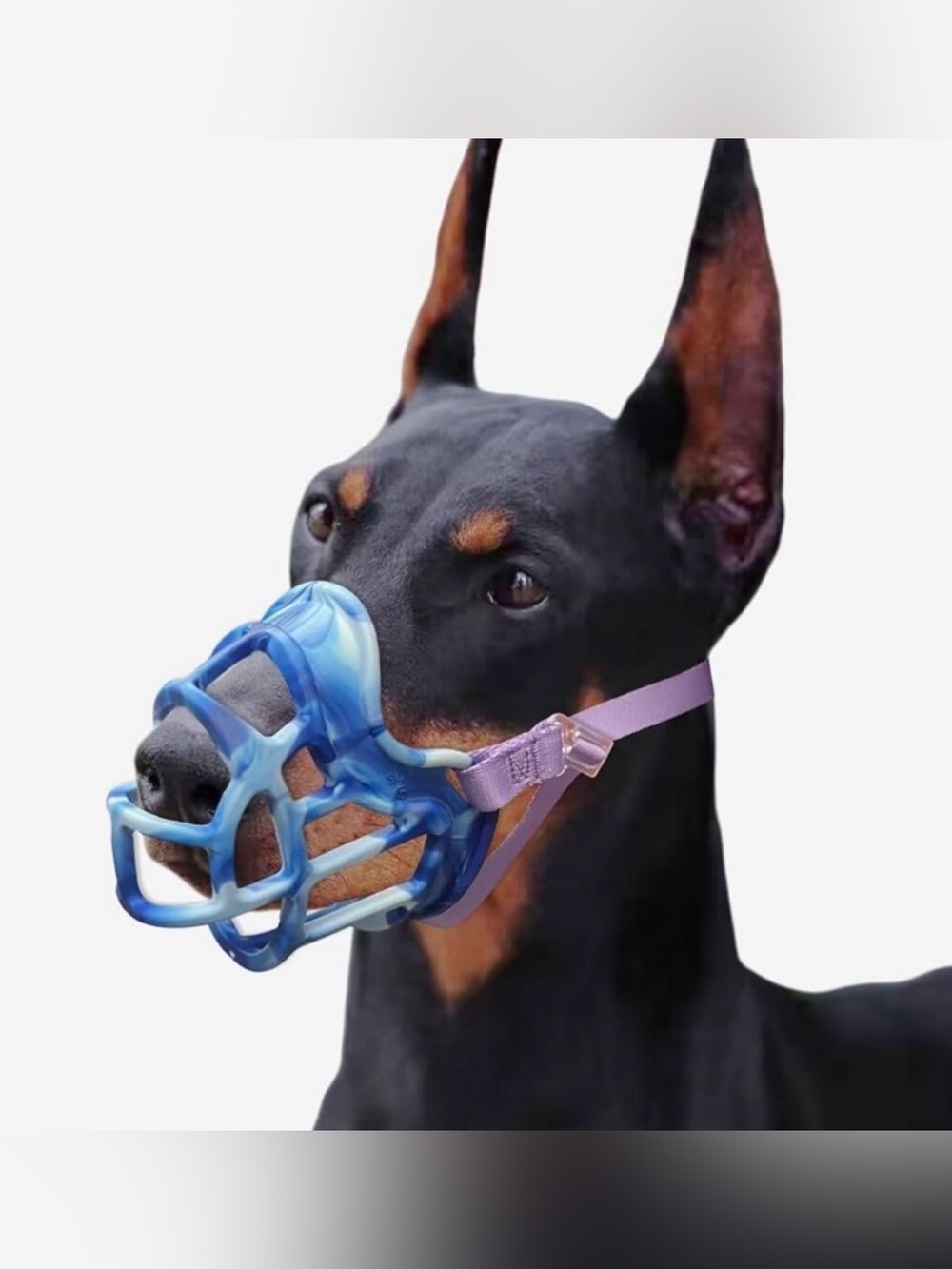 Basket Muzzle Allows Panting Drinking, Sturdy Lightweight - Cage Muzzle for Smal